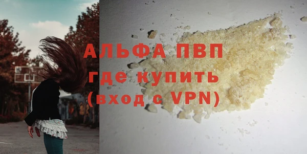ешки Алексин