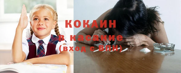 ешки Алексин