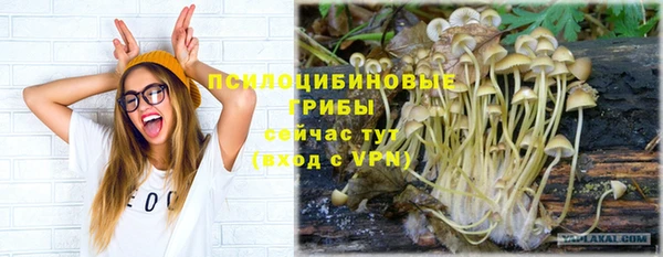 герыч Алзамай